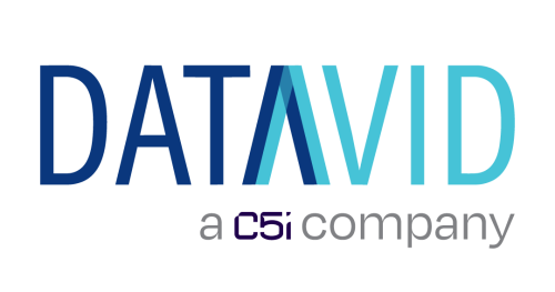 Datavid Logo
