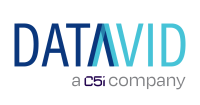 Datavid Logo