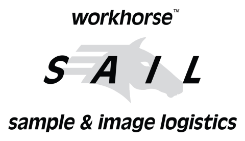 Drafthorse Logo